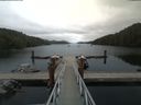 ./images/calvert/dock/20180812/dock20180812_144502.jpg