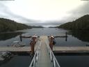 ./images/calvert/dock/20180812/dock20180812_153502.jpg