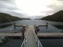 ./images/calvert/dock/20180812/dock20180812_154001.jpg