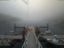 ./images/calvert/dock/20180813/dock20180813_174502.jpg