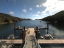 ./images/calvert/dock/20180814/dock20180814_114501.jpg