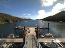 ./images/calvert/dock/20180814/dock20180814_122004.jpg
