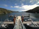 ./images/calvert/dock/20180814/dock20180814_133502.jpg