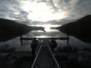./images/calvert/dock/20180816/dock20180816_074004.jpg