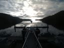 ./images/calvert/dock/20180816/dock20180816_074504.jpg