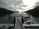 ./images/calvert/dock/20180816/dock20180816_101002.jpg