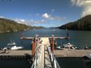 ./images/calvert/dock/20180816/dock20180816_150503.jpg