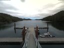 ./images/calvert/dock/20180817/dock20180817_141003.jpg