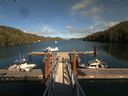 ./images/calvert/dock/20180817/dock20180817_164501.jpg