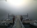 ./images/calvert/dock/20180818/dock20180818_063004.jpg