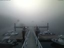 ./images/calvert/dock/20180818/dock20180818_070004.jpg