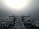 ./images/calvert/dock/20180818/dock20180818_070501.jpg