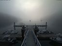 ./images/calvert/dock/20180818/dock20180818_073004.jpg