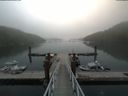 ./images/calvert/dock/20180820/dock20180820_103003.jpg