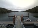 ./images/calvert/dock/20180822/dock20180822_153503.jpg