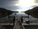 ./images/calvert/dock/20180824/dock20180824_094002.jpg