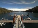 ./images/calvert/dock/20180824/dock20180824_142002.jpg