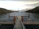 ./images/calvert/dock/20180825/dock20180825_155503.jpg