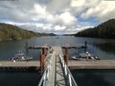 ./images/calvert/dock/20180826/dock20180826_142003.jpg