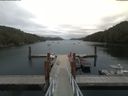 ./images/calvert/dock/20190627/dock20190627_142003.jpg