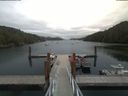 ./images/calvert/dock/20190627/dock20190627_142501.jpg