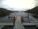 ./images/calvert/dock/20190628/dock20190628_150502.jpg