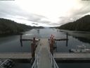 ./images/calvert/dock/20190629/dock20190629_152002.jpg