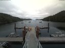 ./images/calvert/dock/20190701/dock20190701_165004.jpg