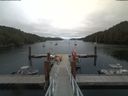 ./images/calvert/dock/20190701/dock20190701_171503.jpg