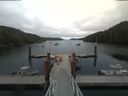 ./images/calvert/dock/20190701/dock20190701_174002.jpg