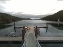./images/calvert/dock/20190703/dock20190703_113503.jpg