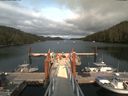 ./images/calvert/dock/20190703/dock20190703_173504.jpg
