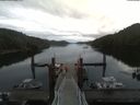 ./images/calvert/dock/20190704/dock20190704_075501.jpg