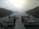 ./images/calvert/dock/20190704/dock20190704_122502.jpg
