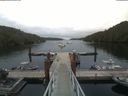 ./images/calvert/dock/20190706/dock20190706_061502.jpg