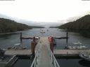 ./images/calvert/dock/20190706/dock20190706_062504.jpg