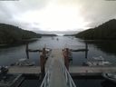 ./images/calvert/dock/20190706/dock20190706_070502.jpg