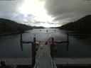 ./images/calvert/dock/20190706/dock20190706_105502.jpg