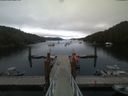 ./images/calvert/dock/20190706/dock20190706_214501.jpg