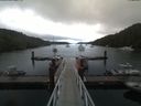 ./images/calvert/dock/20190707/dock20190707_060004.jpg