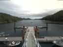 ./images/calvert/dock/20190707/dock20190707_141503.jpg