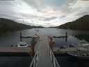 ./images/calvert/dock/20190709/dock20190709_183504.jpg