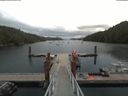 ./images/calvert/dock/20190712/dock20190712_135003.jpg