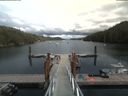 ./images/calvert/dock/20190712/dock20190712_143501.jpg