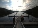 ./images/calvert/dock/20190713/dock20190713_082502.jpg