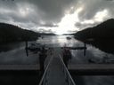 ./images/calvert/dock/20190713/dock20190713_094504.jpg
