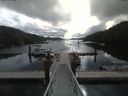 ./images/calvert/dock/20190713/dock20190713_100504.jpg