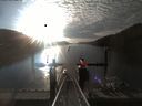 ./images/calvert/dock/20190715/dock20190715_071004.jpg