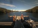 ./images/calvert/dock/20190715/dock20190715_183504.jpg