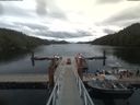 ./images/calvert/dock/20190716/dock20190716_143504.jpg